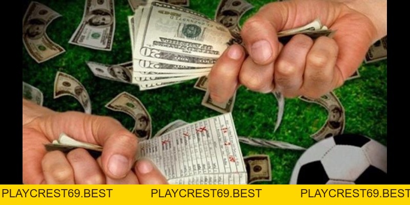 Chính Sách Cá Cược Của Chúng Tôi - playcrest69