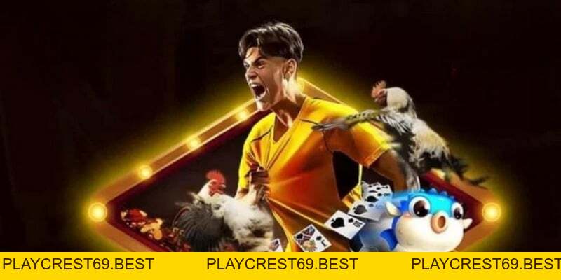 Khuyến Mãi BJ88 Những Chương Trình Hot Nhất 2026 - playcrest69