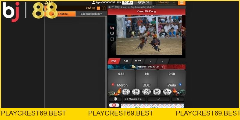Khám phá luật đá gà tre và cách chơi chi tiết tại BJ88 - playcrest69