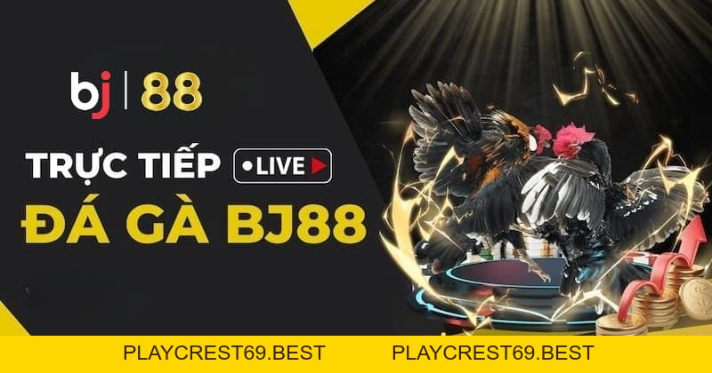 BJ88: Nơi tổng hợp những kèo đá gà trực tiếp hấp dẫn nhất - playcrest69 BJ88: Nơi tổng hợp những kèo đá gà trực tiếp hấp dẫn nhất - playcrest69