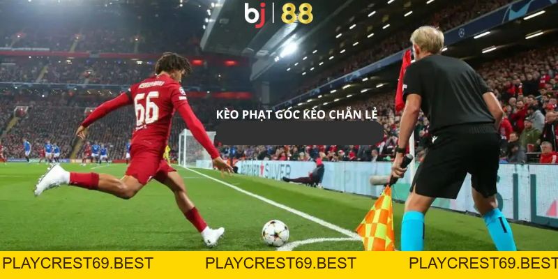 Kèo Phạt Góc Phổ Biến Dành Trọn Sự Tin Yêu Của Khách Hàng - playcrest69