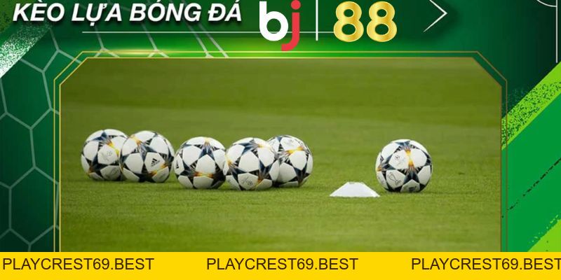 Giới Thiệu Về Kèo Lựa Và Hướng Dẫn Cách Chọn Kèo Cực Chuẩn - playcrest69