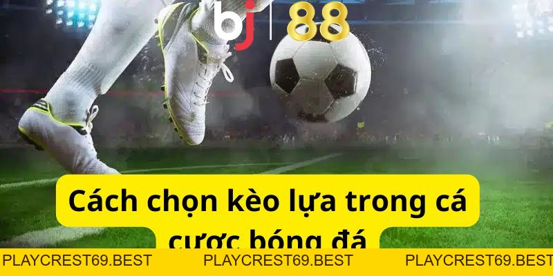 Giới Thiệu Về Kèo Lựa Và Hướng Dẫn Cách Chọn Kèo Cực Chuẩn - playcrest69