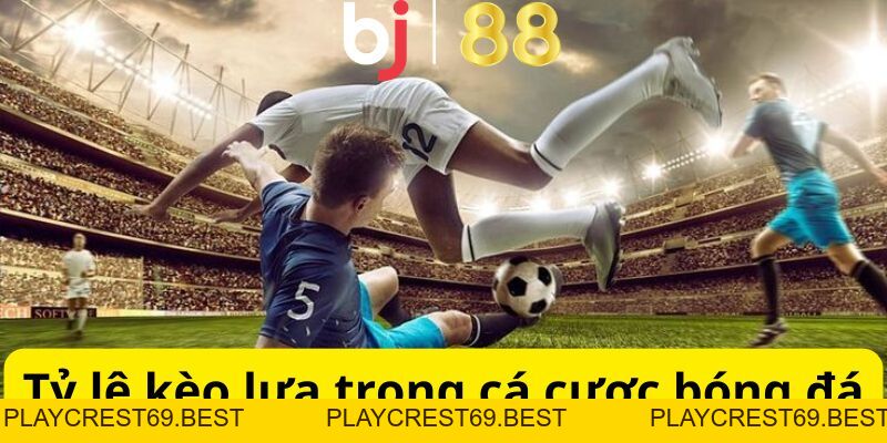 Giới Thiệu Về Kèo Lựa Và Hướng Dẫn Cách Chọn Kèo Cực Chuẩn - playcrest69