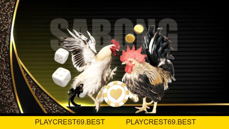 Đá Gà Đòn - Tất Tần Tật Thông Tin Hữu Ích Cho Bet Thủ - playcrest69