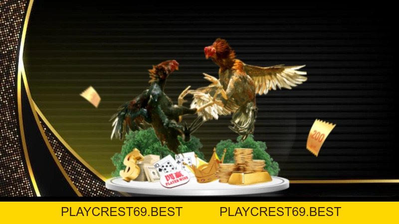 Đá Gà Miền Tây – Vũ Điệu Gay Cấn Trên Sới Đấu BJ88 - playcrest69