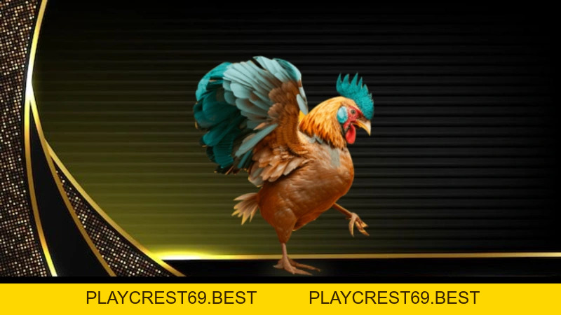 Đá Gà Peru Trải Nghiệm Đỉnh Cao Cho Bet Thủ Tại BJ88 - playcrest69