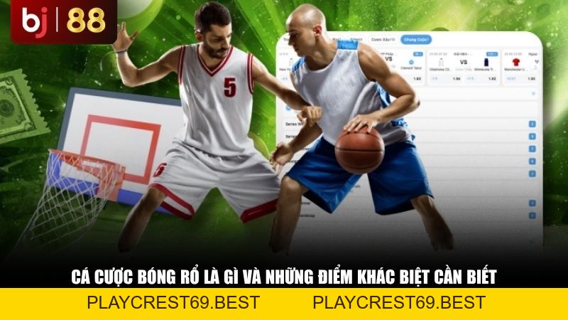 Cá Cược Bóng Rổ Là Gì? Hướng Dẫn Cách Đọc Kèo Bóng Rổ Từ A-Z - playcrest69