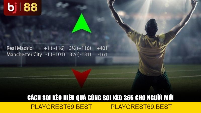 Soi Kèo 365: Cập Nhật Tỷ Lệ Kèo Và Nhận Định Bóng Đá 24/7 - playcrest69
