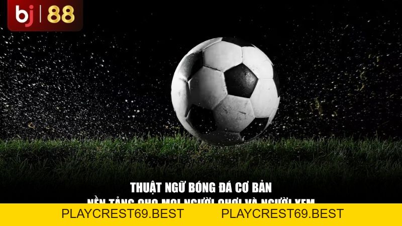 Từ Điển Thuật Ngữ Bóng Đá 2026: Giải Mã Mọi Khái Niệm Trên Sân Cỏ - playcrest69