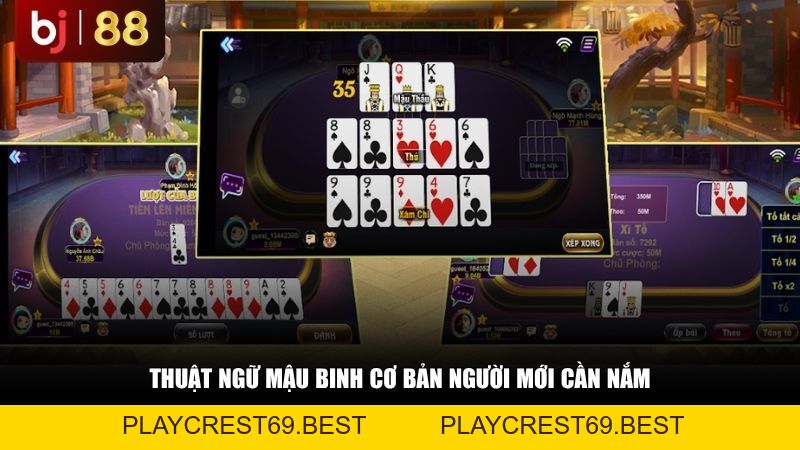 Giải Mã Các Thuật Ngữ Mậu Binh 