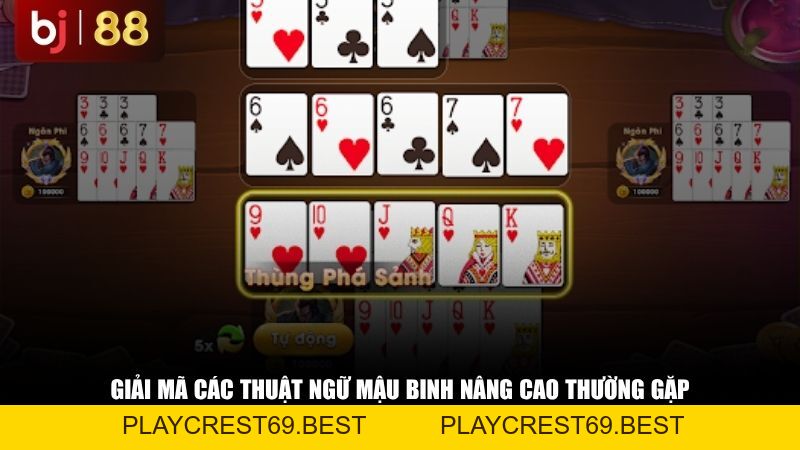 Giải Mã Các Thuật Ngữ Mậu Binh 