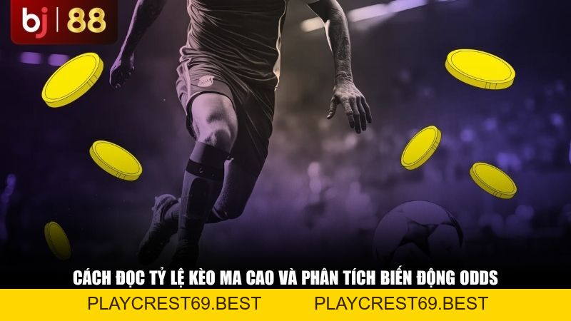 Tại Sao Nên Xem Tỷ Lệ Kèo Ma Cao? Mẹo Nhận Biết Kèo Thơm - playcrest69