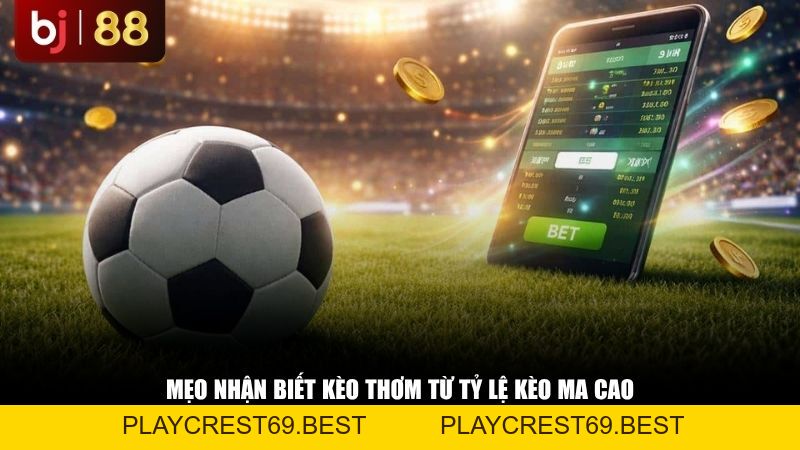 Tại Sao Nên Xem Tỷ Lệ Kèo Ma Cao? Mẹo Nhận Biết Kèo Thơm - playcrest69