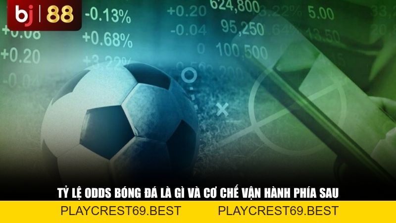 Tỷ Lệ Odds Bóng Đá Là Gì? Hướng Dẫn Cách Đọc Tỷ Lệ Cược Từ A-Z - playcrest69