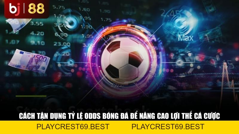 Tỷ Lệ Odds Bóng Đá Là Gì? Hướng Dẫn Cách Đọc Tỷ Lệ Cược Từ A-Z - playcrest69
