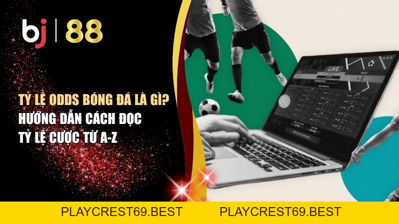 Tỷ Lệ Odds Bóng Đá Là Gì? Hướng Dẫn Cách Đọc Tỷ Lệ Cược Từ A-Z - playcrest69