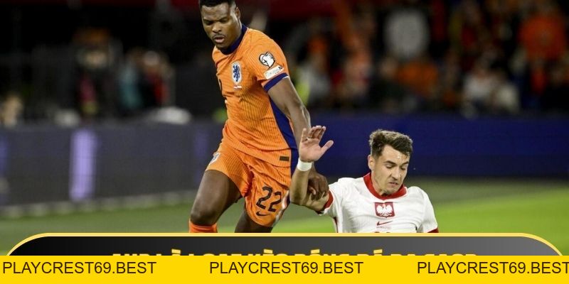 Kèo 1x2 là gì: Định nghĩa cơ bản, ví dụ và tips khi chơi - playcrest69