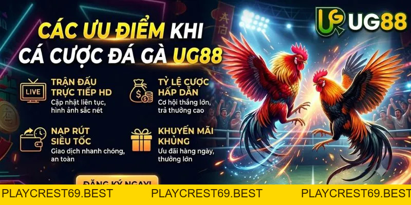 Đá Gà UG88 Trực Tiếp - Xem Đấu Kê & Cá Cược Uy Tín 2026 - playcrest69