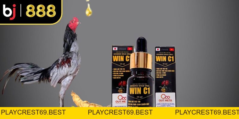 Thuốc Kích Gà Là Gì? Công Dụng, Rủi Ro Và Cách Chọn An Toàn - playcrest69