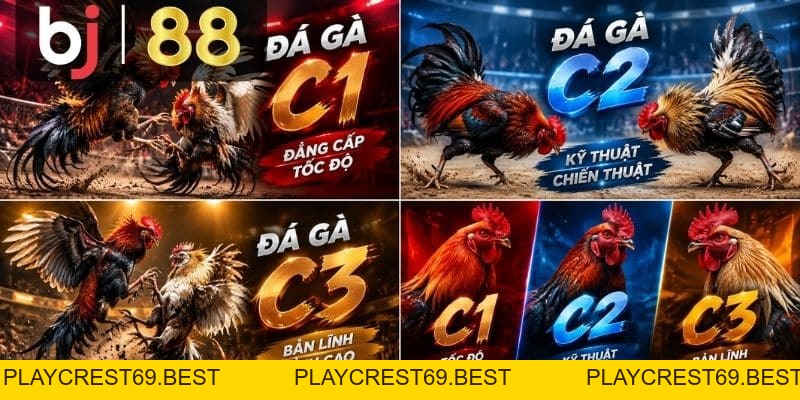 Đá Gà C1, C2, C3 – Cách Phân Biệt Các Bồ Thomo Dễ Hiểu - playcrest69