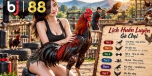 Đá Gà Trực Tiếp - playcrest69