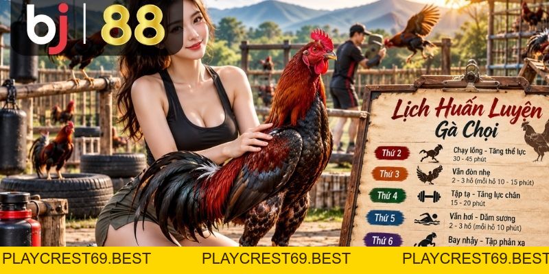 BJ88 – Nhà Cái BJ88 Đá Gà Trực Tuyến Uy Tín Xanh Chín - playcrest69