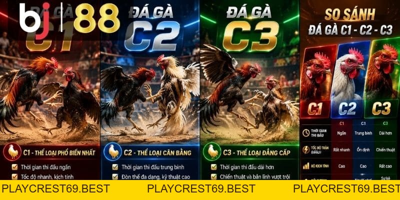 Đá Gà C1, C2, C3 – Cách Phân Biệt Các Bồ Thomo Dễ Hiểu - playcrest69